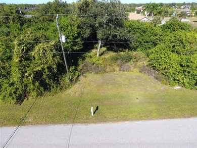 Discover the charm of Rotonda Lakes with this 60x125 homesite - photo 1