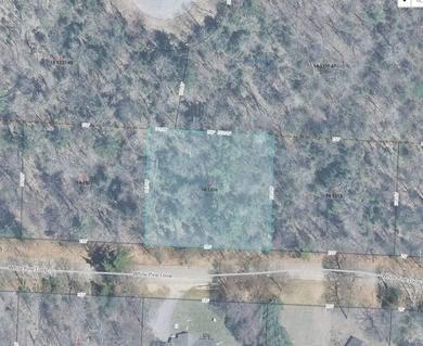 Half an Acre Lot near Eagle River! Tucked away in a peaceful - photo 2