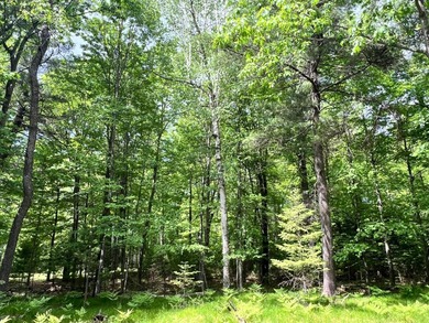 Half an Acre Lot near Eagle River! Tucked away in a peaceful - photo 3