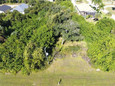 Discover the charm of Rotonda Lakes with this 60x125 homesite - photo 3