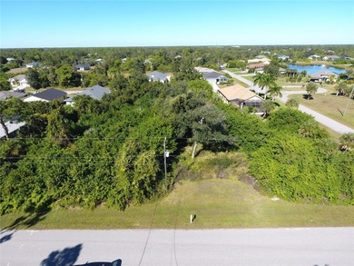 Discover the charm of Rotonda Lakes with this 60x125 homesite - photo 5
