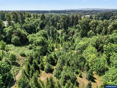 Perched above the Willamette River in Canby, this rare 7.46-acre - photo 35
