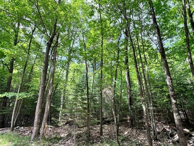 Half an Acre Lot near Eagle River! Tucked away in a peaceful - photo 8