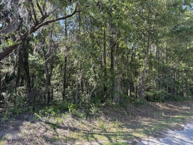 Lake Marion Lot For Sale in Eutawville South Carolina
