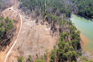 Lake Lot For Sale in Appling, Georgia