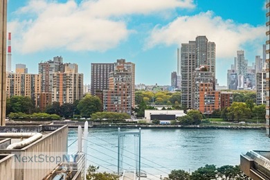 1175 York Avenue 12D