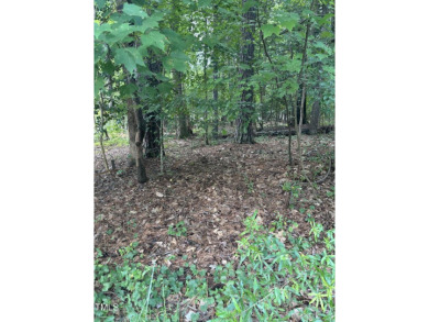 Lake Lot Sale Pending in Louisburg, North Carolina