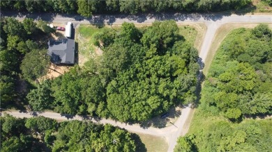 Lake Dardanelle Acreage For Sale in Dardanelle Arkansas