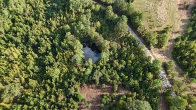 THE LAFAYETTE 22.5, TRACT B, OFFERS 22.5 ACRES IN TAYLOR - photo 11