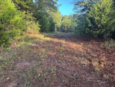 THE LAFAYETTE 22.5, TRACT B, OFFERS 22.5 ACRES IN TAYLOR - photo 12