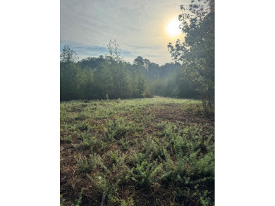 THE LAFAYETTE 22.5, TRACT B, OFFERS 22.5 ACRES IN TAYLOR - photo 13
