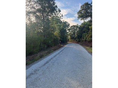 THE LAFAYETTE 22.5, TRACT B, OFFERS 22.5 ACRES IN TAYLOR - photo 14