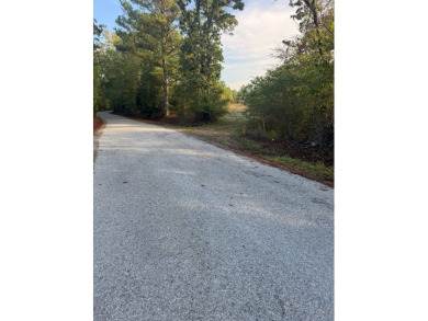 THE LAFAYETTE 22.5, TRACT B, OFFERS 22.5 ACRES IN TAYLOR - photo 15