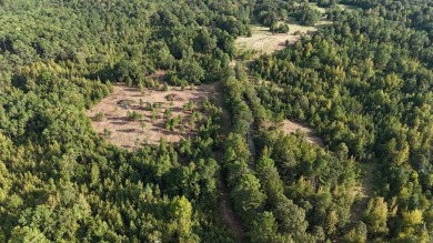 THE LAFAYETTE 22.5, TRACT B, OFFERS 22.5 ACRES IN TAYLOR - photo 16