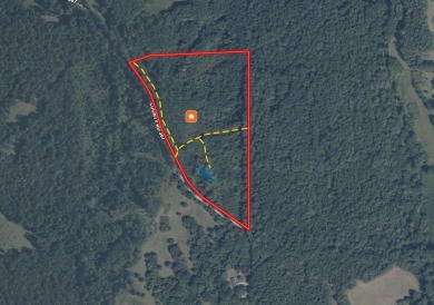 THE LAFAYETTE 22.5, TRACT B, OFFERS 22.5 ACRES IN TAYLOR - photo 17