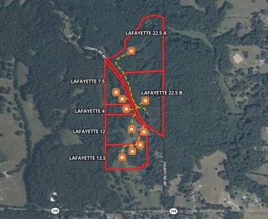 THE LAFAYETTE 22.5, TRACT B, OFFERS 22.5 ACRES IN TAYLOR - photo 18