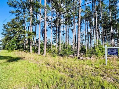 Corner lot in Baymeadows Estates! This .66 acre lot sits at the - photo 1