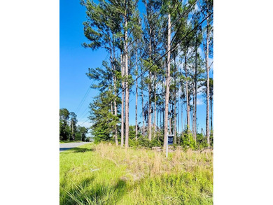 Corner lot in Baymeadows Estates! This .66 acre lot sits at the - photo 2