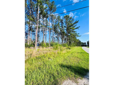 Corner lot in Baymeadows Estates! This .66 acre lot sits at the - photo 3