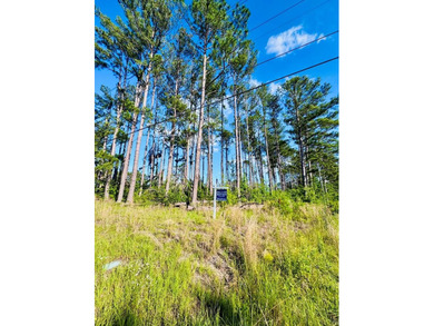 Corner lot in Baymeadows Estates! This .66 acre lot sits at the - photo 4