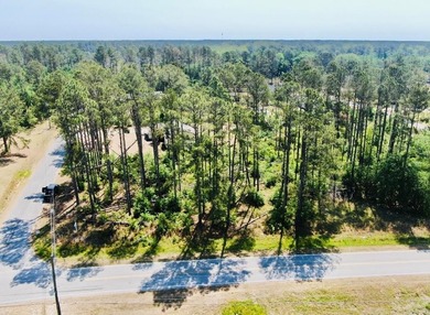 Corner lot in Baymeadows Estates! This .66 acre lot sits at the - photo 5