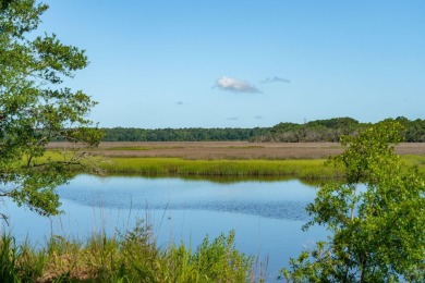 (private lake, pond, creek) Acreage Active Under Con in Green Pond South Carolina