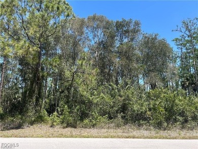 Lehigh Acres Area Lot For Sale in Lehigh Acres Florida