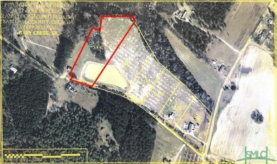  Acreage For Sale in Cobbtown Georgia