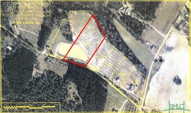  Acreage For Sale in Cobbtown Georgia