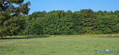 Wonderful opportunity to invest in +/-15Ac in Dunnsville. Approx - photo 1