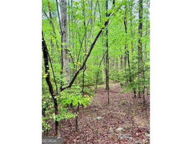 Lake Lot For Sale in Ellijay, Georgia