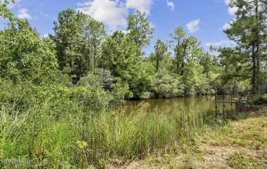 Twin Lakes Lot For Sale in Diamondhead Mississippi