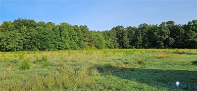 Wonderful opportunity to invest in +/-15Ac in Dunnsville. Approx - photo 2