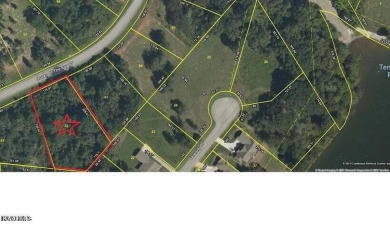 : These are 2 very easy build lots in the Docks at Caney Creek - Lake Lot Sale Pending in Rockwood, Tennessee