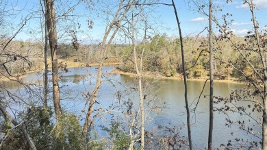 Lake Lot For Sale in Chenee, South Carolina