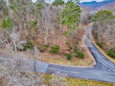 Affordable Cherokee Lake View Lot in Gated Community - photo 5