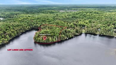 An exceptional opportunity to own five contiguous waterfront - photo 2