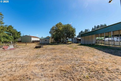 DUNE ACCESS RESIDENTIAL/RECREATIONAL LOT WITH RV STORAGE - photo 6