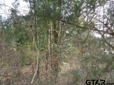 (private lake, pond, creek) Acreage For Sale in Winnsboro Texas