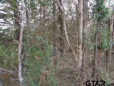 6.77 Waterfront acres on Lake Winnsboro. The property is all - photo 2