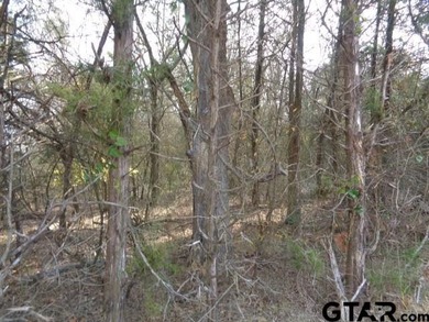 6.77 Waterfront acres on Lake Winnsboro. The property is all - photo 3