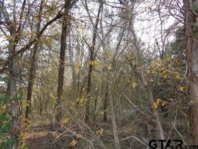 6.77 Waterfront acres on Lake Winnsboro. The property is all - photo 4