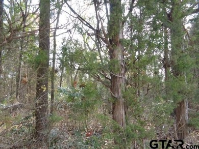 6.77 Waterfront acres on Lake Winnsboro. The property is all - photo 5