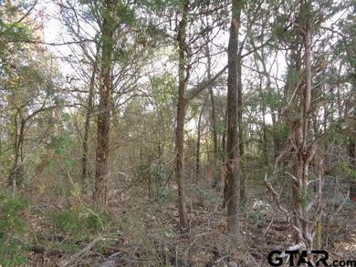 6.77 Waterfront acres on Lake Winnsboro. The property is all - photo 6