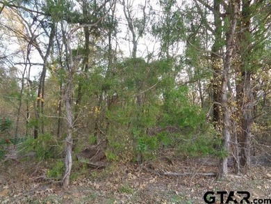 6.77 Waterfront acres on Lake Winnsboro. The property is all - photo 7