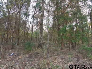 6.77 Waterfront acres on Lake Winnsboro. The property is all - photo 8