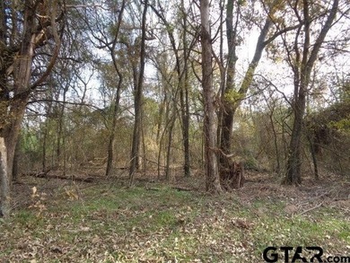 6.77 Waterfront acres on Lake Winnsboro. The property is all - photo 9