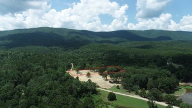 Cabin Building Acreage - National Forest Area Location: This - photo 8