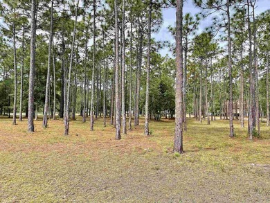Additional listing photo 2