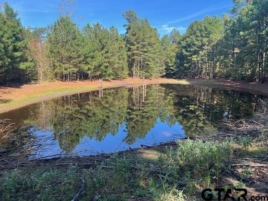 Lake Acreage For Sale in Hawkins, Texas